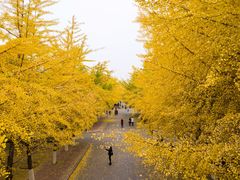 -辽宁大学(崇山校区)