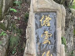 -塔云山