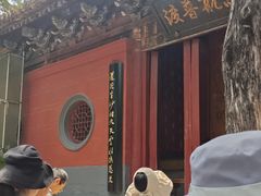 -洛阳白马寺