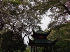 -岳麓山风景名胜区