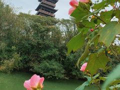 -三国赤壁古战场