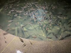 -七仙岭君澜度假酒店