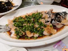 青椒蒸长江鮰鱼-好福记饭店(红梅公园店)