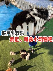 -萌宠亲子动物乐园(槐房万达店)