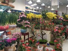 -双季花艺园艺市场(浦东店)