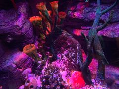 -沈阳海洋探索中心