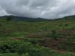 -牙胡梯田
