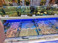 -大众海鲜(巨龙北路店)