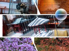 -敬亭山风景名胜区