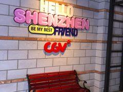 -CGV影城(壹方城IMAX店)