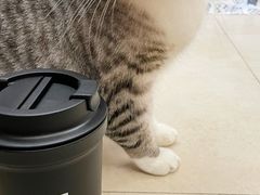 -上海长风大悦城