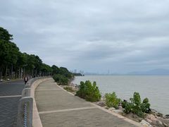 -福田红树林生态公园