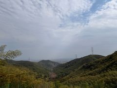 -东明山森林公园