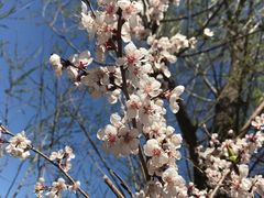 -爱时特套房酒店(会展中心远洋城店)