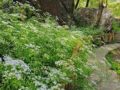 -秦岭终南山世界地质公园翠华山景区
