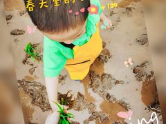 -宾果蒙特梭利托育儿童之家幼儿园(爱琴海店)