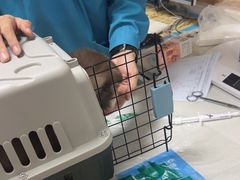 -瑞派宠物医院·24h·骨外科·皮肤科·全科宠物医疗转诊中心(沈阳浑南院)
