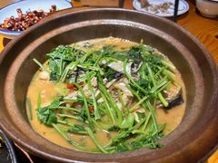-九道菜有鸡鱼头(石鼓路店)