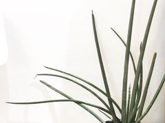-Badmarket(庙前西街店)