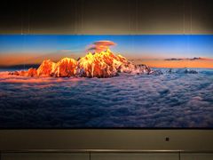 -罗红摄影艺术馆