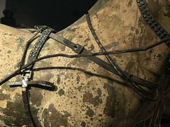 -秦始皇帝陵博物院(兵马俑)