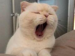 -鱼你在一起(梦秀广场店)