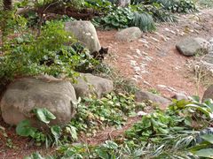 -苏州河梦清园环保主题公园