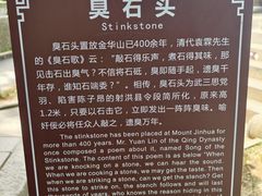 -子昂故里文化旅游区