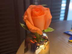 -佐度王子扒房(爱建卓展店)