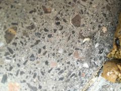 -芭比堂动物医院·心脏专科·夜诊·吉雅分院