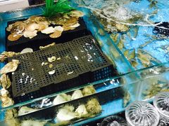 -阳光岛·海鲜盛宴(银泰中心in99店)