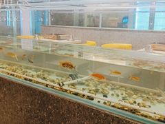 -令狐冲烤鱼·烧菜馆(达明店)