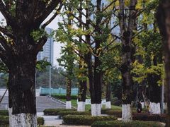-两江幸福广场