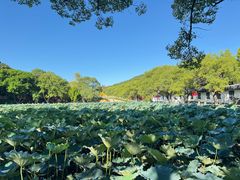 -普陀山雷迪森庄园