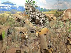 -陕西自然博物馆