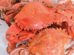 -常家活海鲜小吃(仅一家无分店)