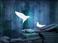 -红色娘子军纪念园