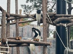 -武汉动物园