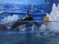-左海海底世界