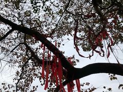 -常德桃花源景区