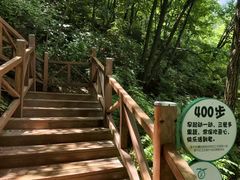 -大岭沟猕猴桃谷风景区