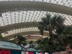 -杭州开元森泊度假乐园