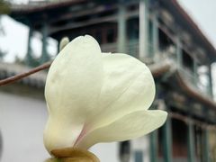 -莲池书院博物馆