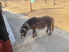 -南京金牛湖风景区