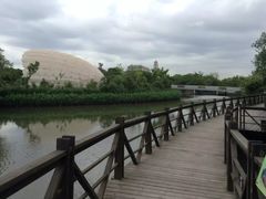 -吴淞炮台湾湿地森林公园烧烤区