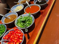 -松赞拉萨林卡酒店