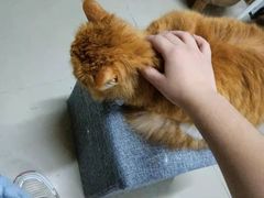 -一片田陶艺工作室