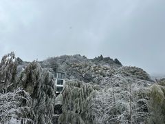 -江南天池