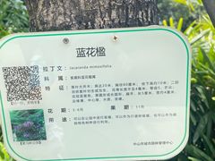 -紫马岭公园