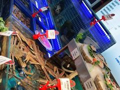 -必点海鲜·鲅鱼水饺(鞍山西道店)